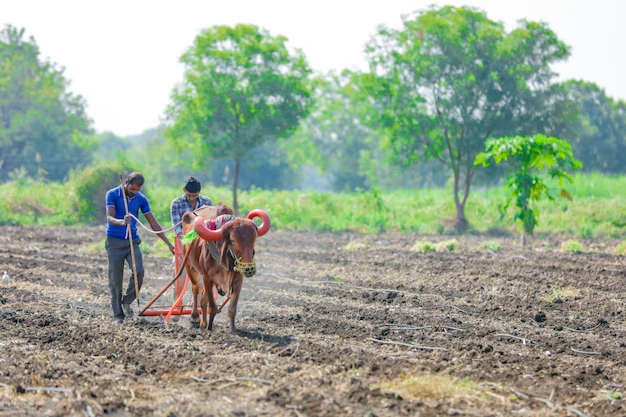 Unpacking the National Agriculture Code: A Step Towards Best Practices in Indian Farming